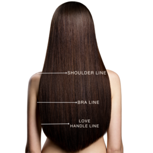 Shoulder to Love Handle Line